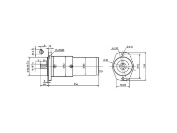 Permanenterregter DC-Getriebemotor, Planetengetriebemotor 92JX1500K/80ZY115