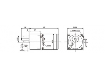 AC-Getriebemotor und Getriebe 60YN10