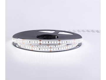 24V 10mm LED-Flexstreifen im Innenraum, D8168