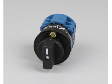 Hersteller von Nockenschaltern    seit 1981