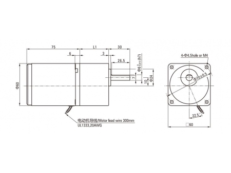 60mm 6W Asynchronmotor/ Induktionsmotor