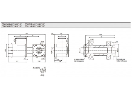 90mm 120W  Reversibler Motor