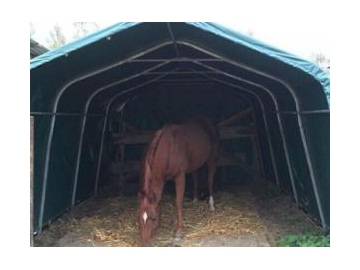 Großzelt/Veranstaltungszelt/Lagerzelt