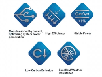 36P 280W/285W/290W/295W/300W polykristallines Solarmodul