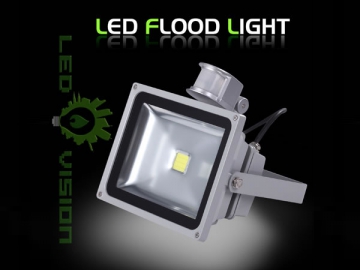 30W LED-Fluter