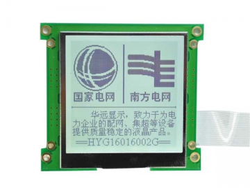 LCD-Modul, 160x160, COG